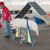 2012_agility-plausch_MHS5730