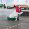 2012_agility-plausch_MHS5734