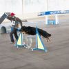 2012_agility-plausch_MHS5823