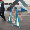 2012_agility-plausch_MHS5882