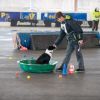2012_agility-plausch_MHS5924