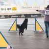 2012_agility-plausch_MHS5997