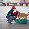 2012_agility-plausch_MHS6100