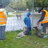 2008_alltagskurs_Zo_2