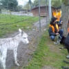 2008_alltagskurs_Zo_3