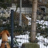 2009_alltagskurs_DSC03673