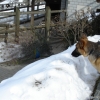 2009_alltagskurs_DSC03684