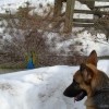 2009_alltagskurs_DSC03685