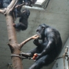 2009_alltagskurs_DSC03688