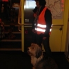 2009_alltagskurs_DSC05492