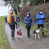 2024_hundeplus_anlaesse_146e2b64-59bf-4a2c-bdd3-85472295718c
