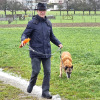 2024_hundeplus_anlaesse_582dcb5a-a15e-4d66-8907-ebf8b2e54765