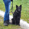 2024_hundeplus_anlaesse_6c90002b-dd7e-4794-8e6a-69808c24cd2f