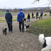 2024_hundeplus_anlaesse_7c8e00ea-a4ad-4ca5-8eec-8a30c522b037