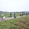 2024_hundeplus_anlaesse_951211ed-334f-4a66-af03-4455ff4fa03f