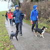 2024_hundeplus_anlaesse_9ba657c6-13ee-4636-8264-6fcab2ba4604