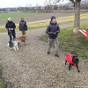2024_hundeplus_anlaesse_a2f2062a-b55c-42b9-8f1d-301158261dda