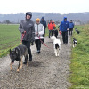 2024_hundeplus_anlaesse_ac9f4dad-2b3a-439e-b2d8-0b5c3970aed4