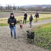 2024_hundeplus_anlaesse_c2d3b6b4-abc9-43ef-8bb1-1183bac5ce14