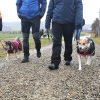 2024_hundeplus_anlaesse_c7e05d63-9f0e-4ff9-a13d-1e266a570984