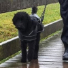 2024_hundeplus_anlaesse_d0804e62-d78f-4cbb-80be-93adf81f902e