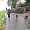 2024_hundeplus_anlaesse_d63fa881-9590-4221-836d-6d7aef7ac25b