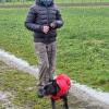 2024_hundeplus_anlaesse_d81fe1d3-2965-4ab3-ae72-9674b020f681
