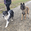 2024_hundeplus_anlaesse_ea617c4a-ff1e-4efc-b5a1-5e2173a5fd3a