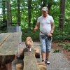 2024_hundeplus_ausfluege_34972b5c-8b9c-4e16-9d30-eed64bba66b6