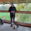 2024_hundeplus_ausfluege_4a594bd8-d1f5-4186-8298-797fb558706f
