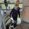 2024_hundeplus_ausfluege_648b17db-f01c-413c-ad55-c70c283316cf