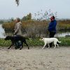 2024_hundeplus_ausfluege_IMG_0017