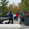 2024_hundeplus_ausfluege_IMG_0030
