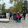 2024_hundeplus_ausfluege_IMG_0032