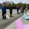 2024_hundeplus_ausfluege_IMG_9967