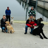 2024_hundeplus_ausfluege_IMG_9975