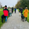 2024_hundeplus_ausfluege_IMG_9977