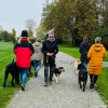 2024_hundeplus_ausfluege_IMG_9978