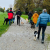 2024_hundeplus_ausfluege_IMG_9979