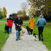 2024_hundeplus_ausfluege_IMG_9981