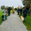 2024_hundeplus_ausfluege_IMG_9983