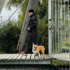 2024_hundeplus_ausfluege_IMG_9997