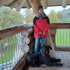 2024_hundeplus_ausfluege_b2b0ddaa-52a2-4e8e-8d6a-5e890a725dc9