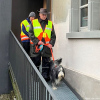 2024_hundeplus_ausfluege_c8272d2b-5b52-4a6c-9fb9-f1a53753c7cd