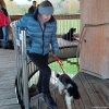2024_hundeplus_ausfluege_d0e153b0-4f4c-436e-a381-af5d3b2ef20c