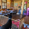 2021_hundeplus_clubhaus-anlage_IMG_4976