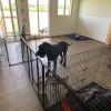 2021_hundeplus_clubhaus-anlage_IMG_8687