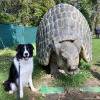 2021_hundeplus_dinopark_00c20cde-fc7a-46b5-a393-22b9e4856540