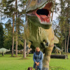 2021_hundeplus_dinopark_1a5606be-b12e-4a99-93d0-fd701d932b19