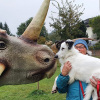 2021_hundeplus_dinopark_2352ddcf-357b-4892-b8a2-7fe181c04b9c